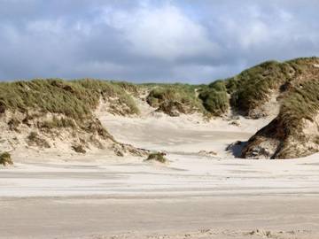 Ferieudlejning til 4 Personer i Henne Strand, Filsø See, Billede 4