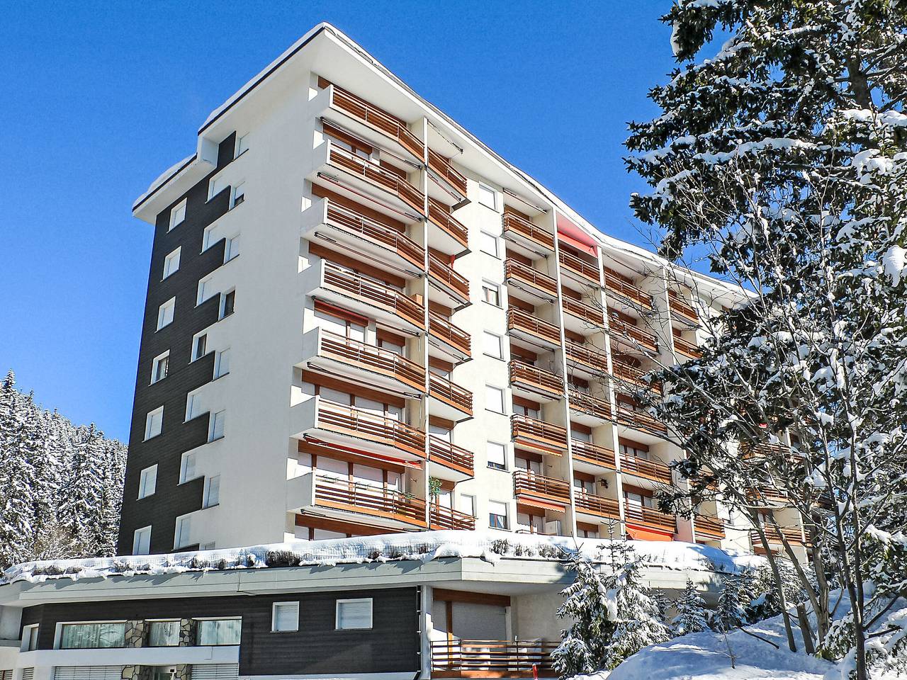 Geheel appartement, La Forêt ouest in Randogne, Sion - Sierre & omgeving