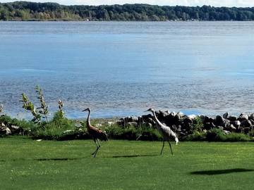 Vacation House for 20 Guests in Montague, Muskegon County, Picture 4