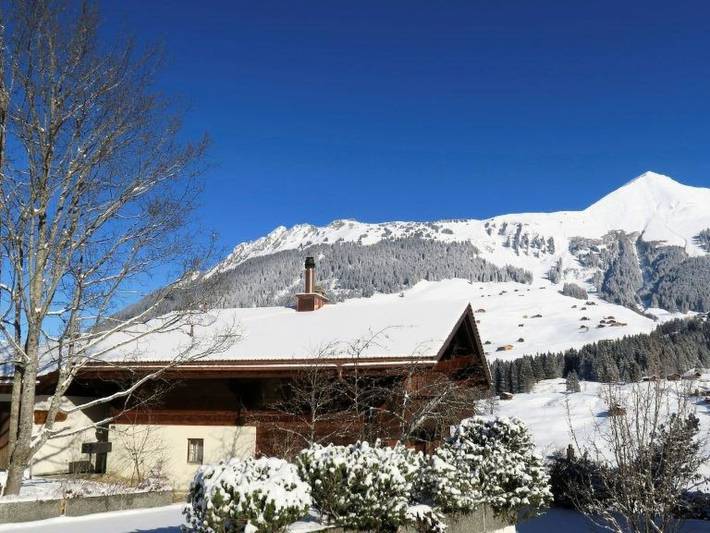 Ganze Wohnung, Silberdistel in Lauenen b. Gstaad, Lauenen