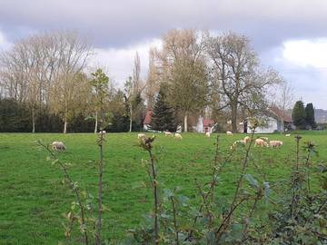 Gîte pour 10 personnes, avec vue et jardin à Wavrans-sur-l'Aa