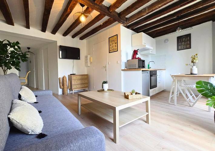 Vakantieappartement voor 6 personen, met uitzicht en balkon in Tours