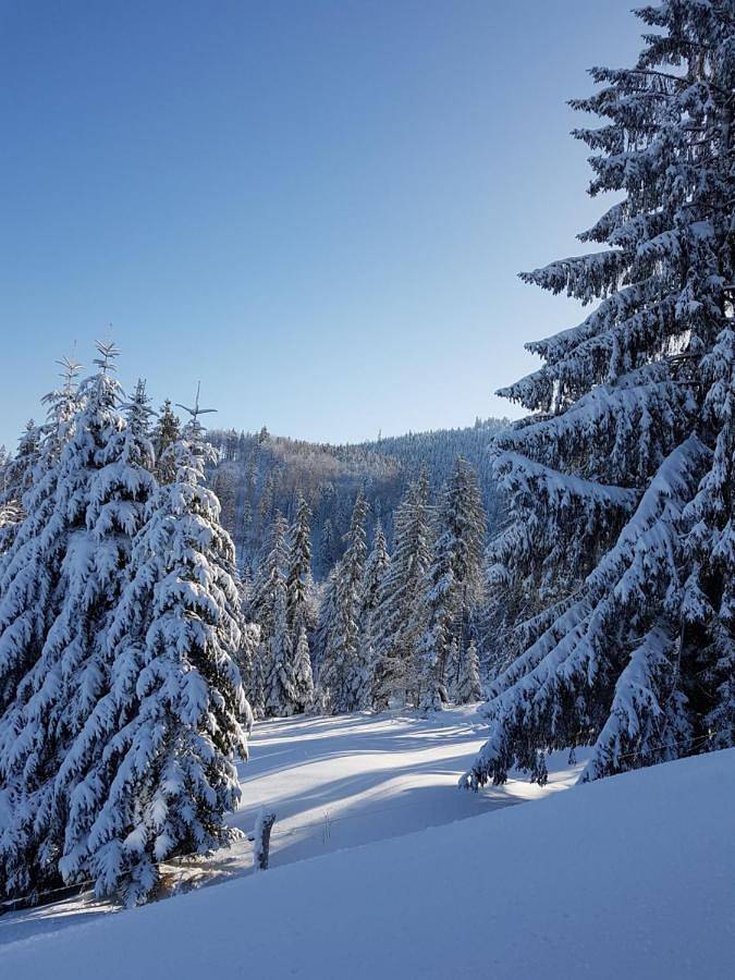 Dom pod Baranią - Wisła - sauna, jacuzzi, tężnia & widok na góry in Malinka, Wisła