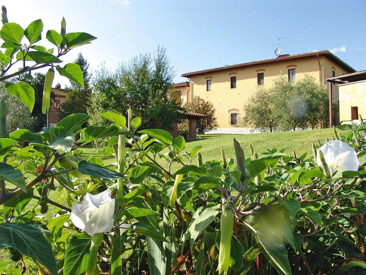 Appartamento intero, Agriturismo Poggio al Sole, Vinci in Vinci, Firenze e dintorni