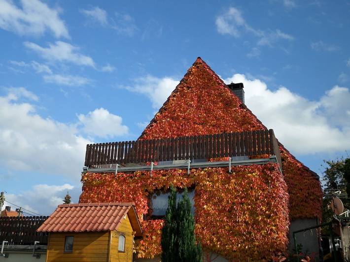 Ferienhaus für 5 Personen, mit Terrasse in Hohnstein