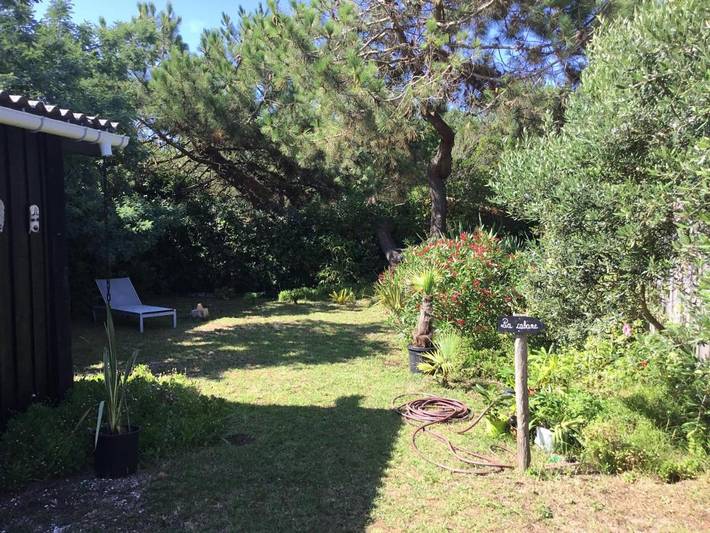 Maison d’hôte pour 2 personnes, avec jardin ainsi que vue et terrasse, animaux acceptés au Cap Ferret - 4