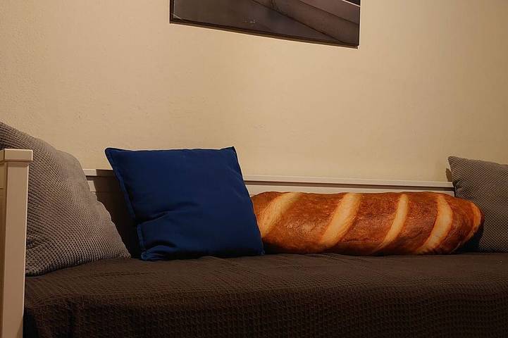 B&B für 8 Personen, mit Garten in Sachsen - 4