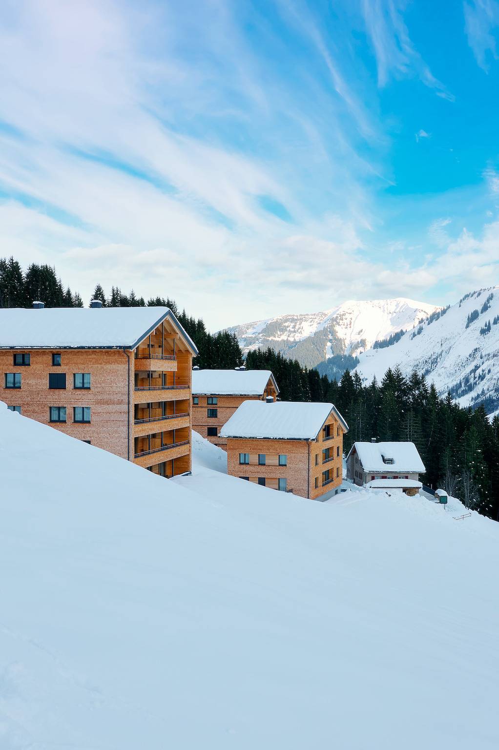 Ganze Wohnung, Alpenstolz #1.03 Komfort in Damüls, Bregenzerwald
