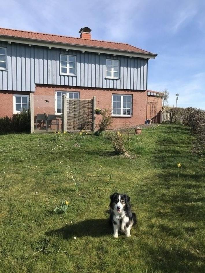 Landhaus für 4 Personen, mit Garten und Terrasse sowie Ausblick, mit Haustier auf Eiderstedt - 2