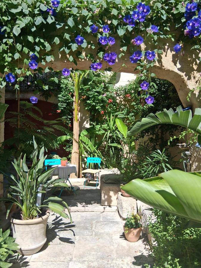 Location de vacances pour 2 personnes, avec vue et jardin à Beaucaire - 3