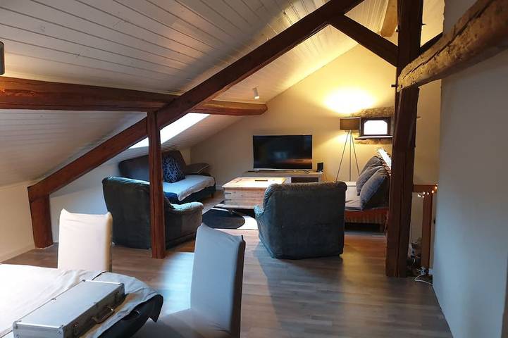 Gîte pour 14 personnes, avec jacuzzi et jardin dans Mortagne - 4