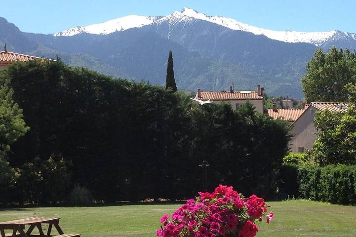 Gîte pour 2 personnes, avec piscine ainsi que jardin et terrasse à Prades - 4