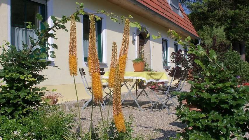 Ferienhaus für 4 Personen, mit Terrasse und Sauna - 1