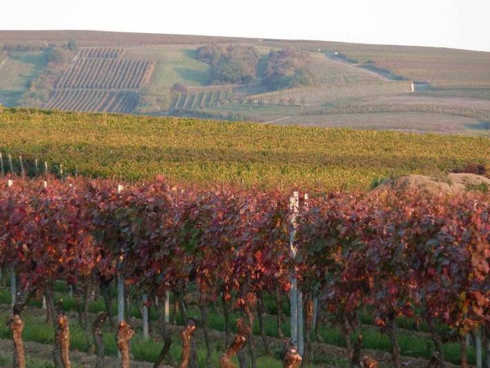 Ferienwohnung für 6 Personen in Rhein Main Gebiet - 4