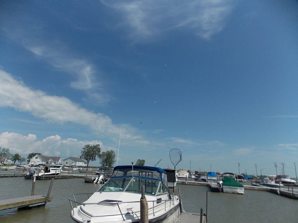 Ganze Wohnung, Jo's Hideaway, perfekt für Liebhaber, Fischer und Vogelbeobachter des Eriesees! 4 Schlafplätze in Eriesee