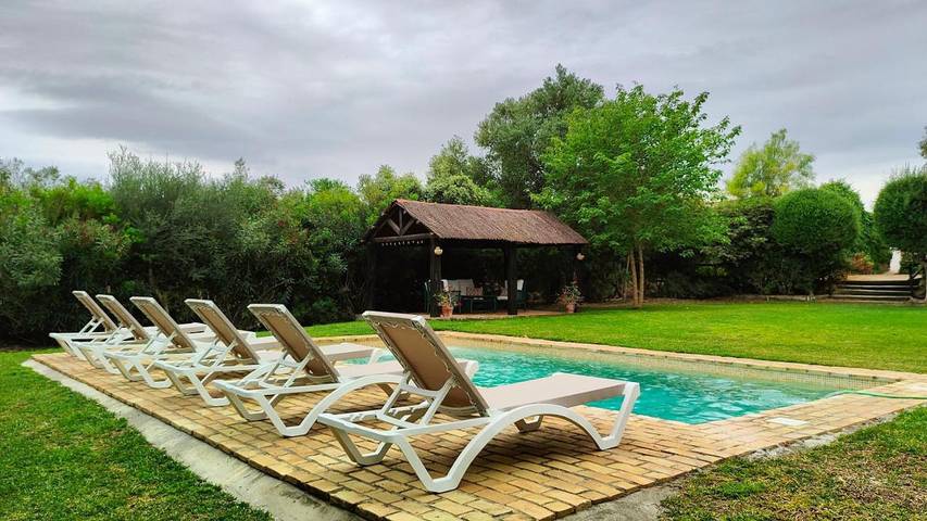 Casa rural para 12 personas, con piscina además de jardín y terraza, Se admiten mascotas en Campiña de Jerez - 4