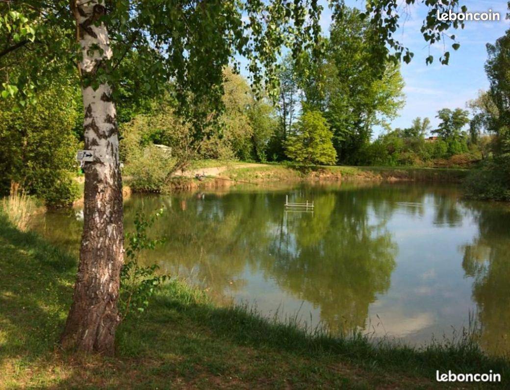 La pépite Rose d'Europapark in Boofzheim, Région de Sélestat-Erstein