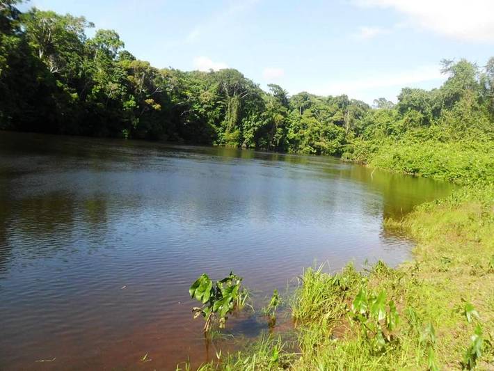 Gîte pour 4 personnes, avec jardin et vue dans Guyane française - 4