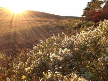 Cottage for 6 People in Edgartown, Martha's Vineyard, Photo 2