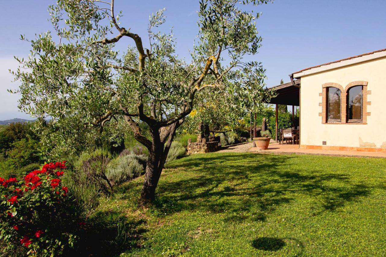 Double Room with Patio in Montaione, Firenze province