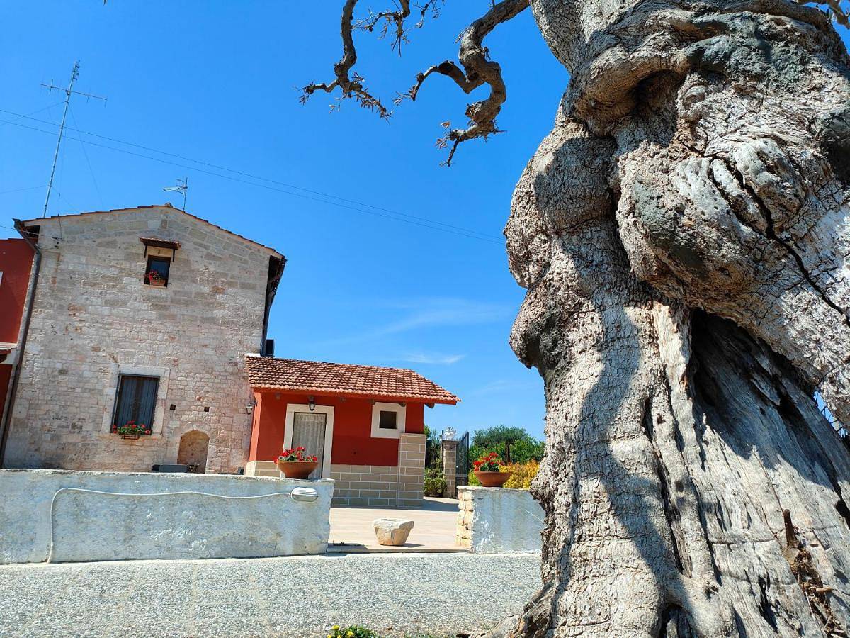 Double Room in Conversano, Provincia di Bari