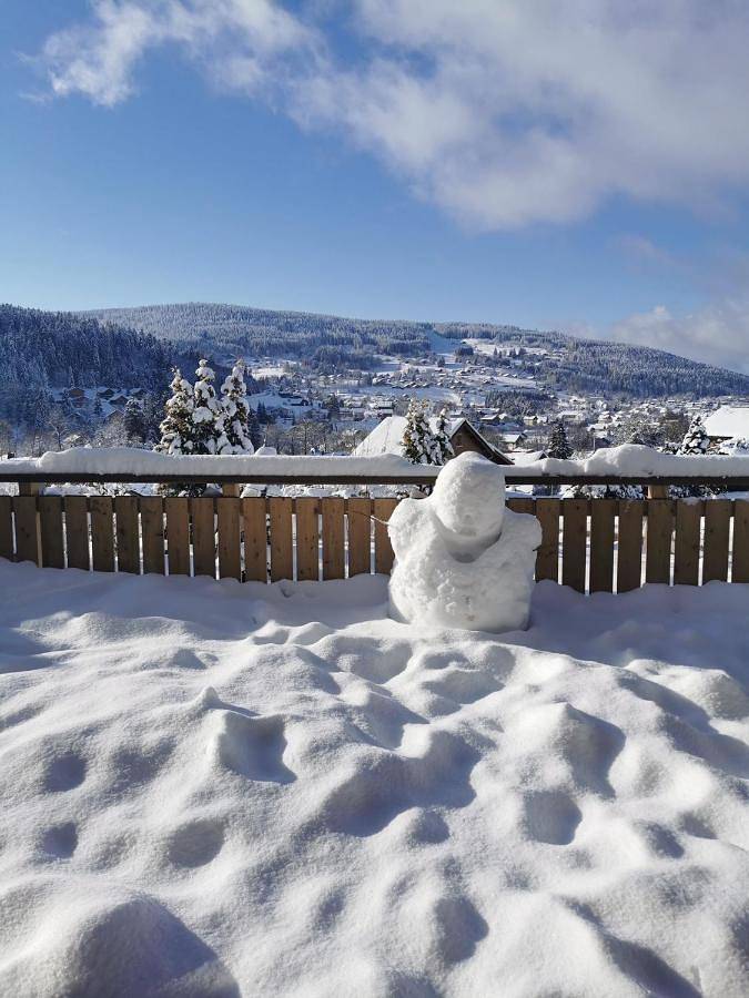 Chalet pour 12 personnes, avec jardin ainsi que sauna et vue à Xonrupt-Longemer - 4