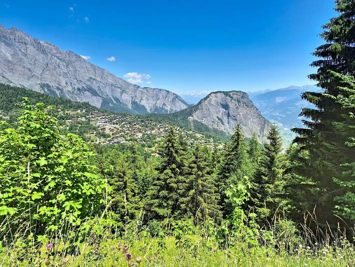 Le Mayen d'Ovronnaz in Leytron, Wallis