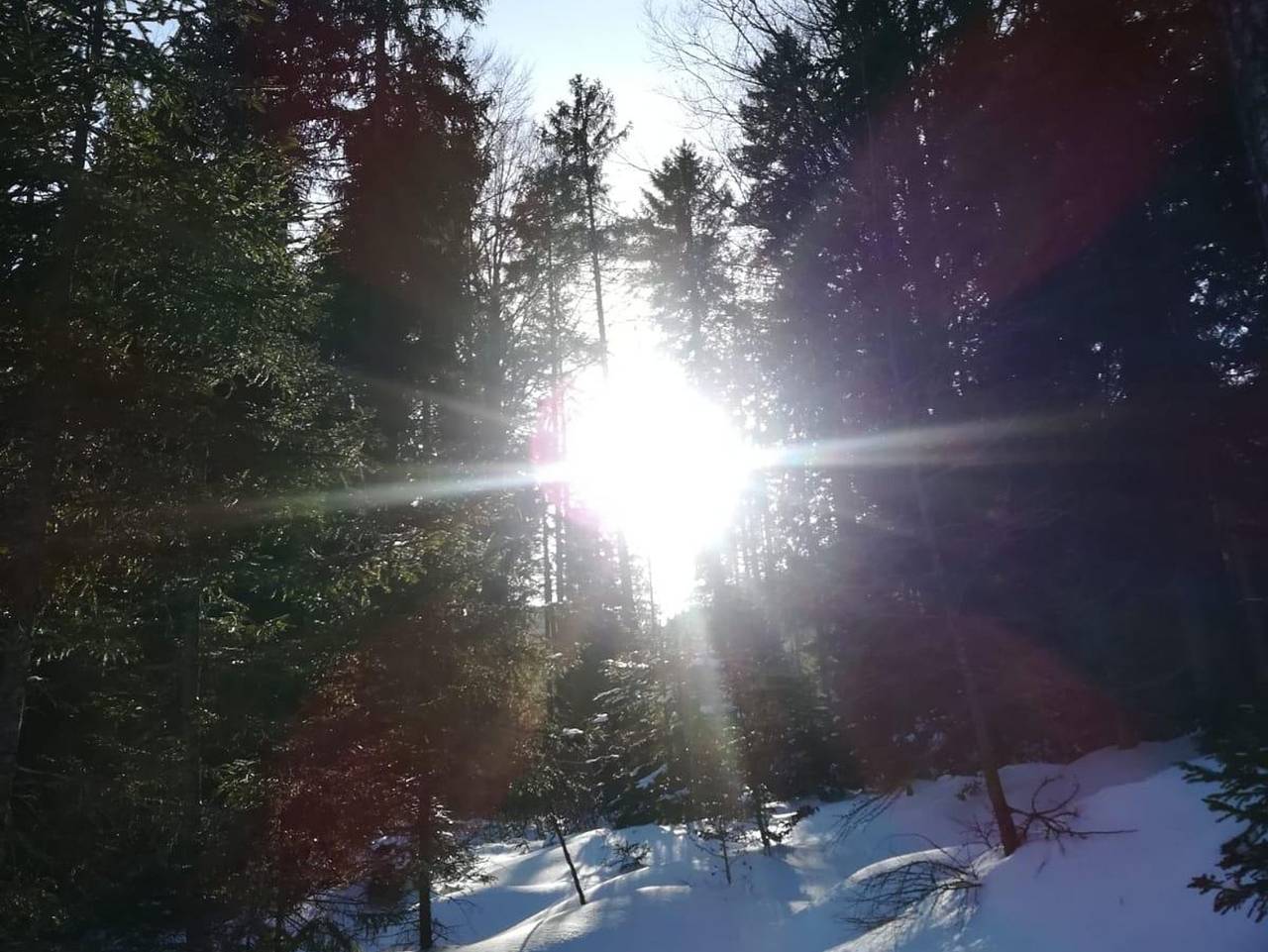 Ganze Ferienwohnung, Haus Abendstein - Ferienwohnung Guffert in Steinberg am Rofan, Kaisergebirge