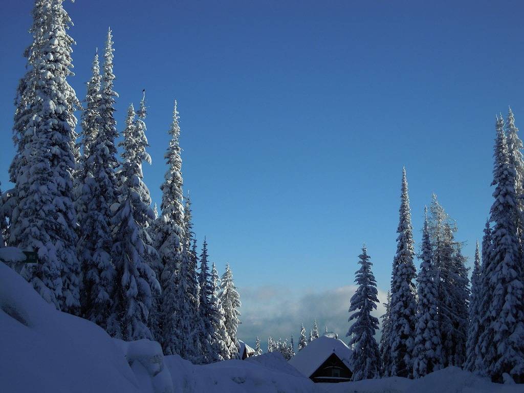 Ganze Wohnung, Pistenzugang direkt vor der Unterkunft, Whirlpool, beheizter Wachsraum, Wäscheservice, hell in Silver Star