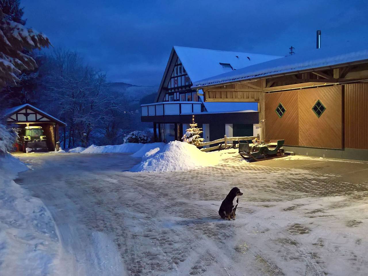 Ferienwohnungen Lennehof - Ferienwohnung Typ A Ponyweide, 47qm, 2 Schlafzimmer, max. 4 Personen in Lennestadt, Sauerland
