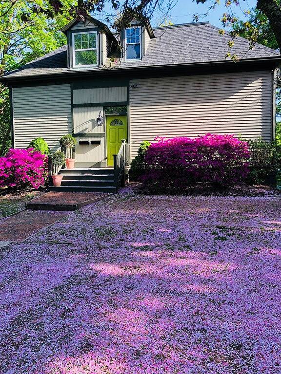 Ganze Wohnung, Neu renoviertes 2 Familien Kutschenhaus in Newport, Newport County