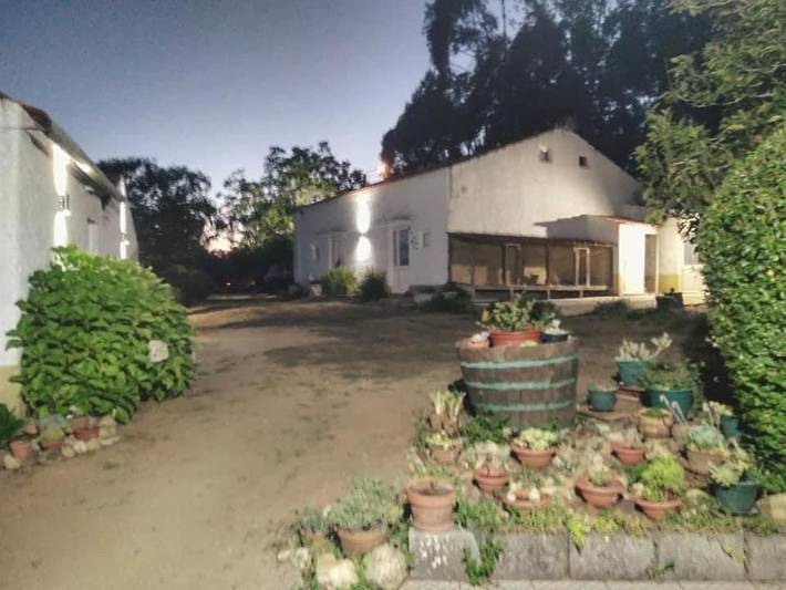 Location de vacances pour 7 personnes, avec piscine ainsi que vue et jardin dans Águeda - 3