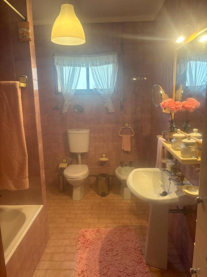 Gîte pour 5 personnes, avec vue et jardin, animaux acceptés dans Árvore - 4