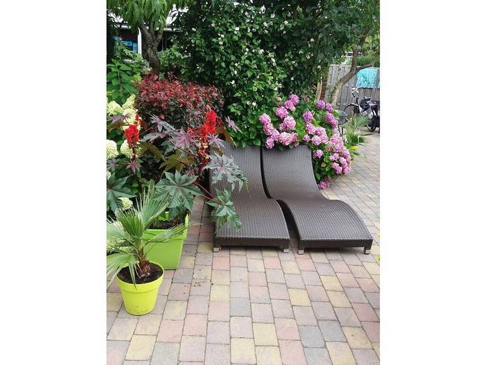 Ferienhaus für 3 Personen, mit Terrasse und Garten in Schoorl - 3