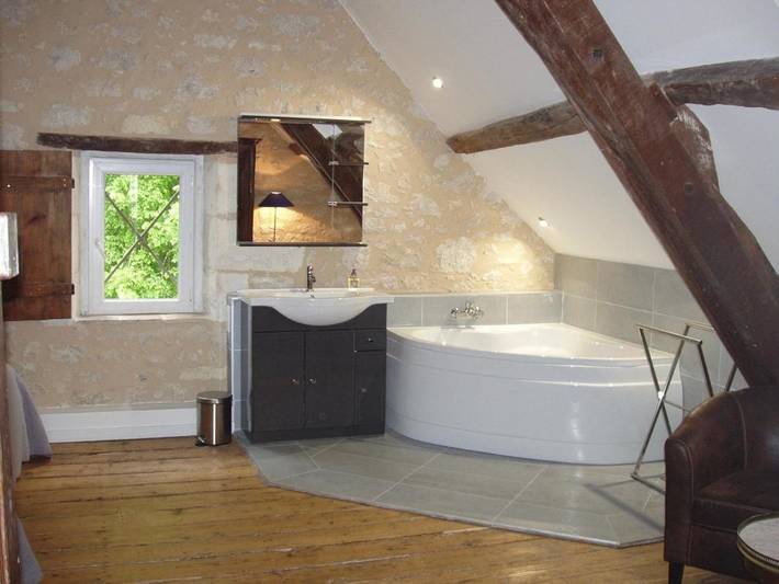 Location de vacances pour 12 personnes, avec piscine ainsi que vue et jardin à Montcaret - 3