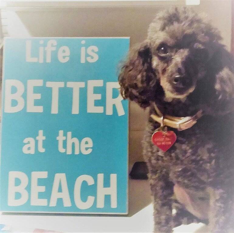 Entspannen Sie sich, machen Sie Erinnerungen und genießen Sie einen großartigen Urlaub am Strand! in Fernandina Beach, Amelia Island