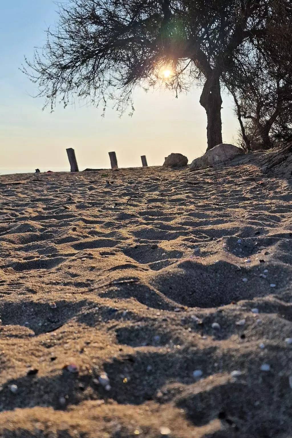 Ganze Wohnung, 4 Zimmer 4 Personen in Manduria, Golf von Tarent