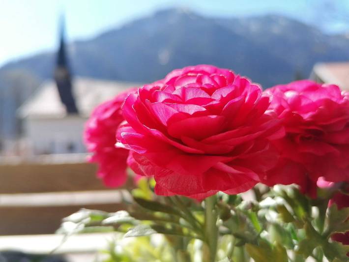 Ferienwohnung für 3 Personen, mit Balkon und Terrasse sowie Garten in Bayrischzell - 2