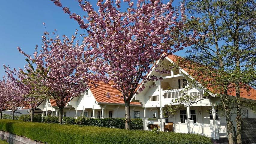 Chalet voor 6 personen in Oostkapelle