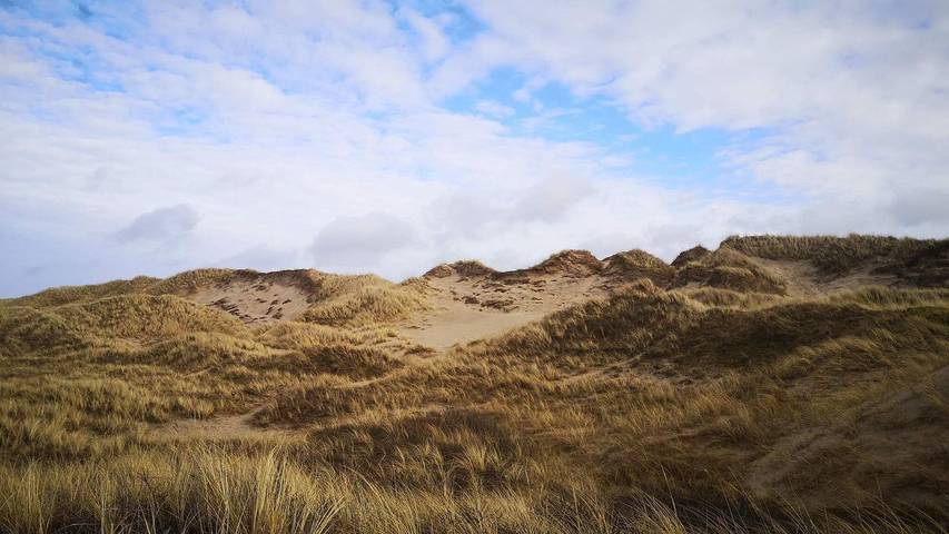 Ferienhaus für 7 Personen, mit Sauna und Terrasse sowie Whirlpool in Tversted - 3