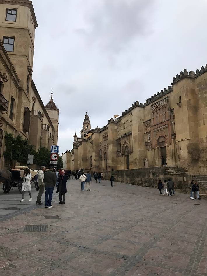 Appartement entier, Aroma de fleur d’oranger, au cœur de San Basilio in Distrito Centro (Córdoba), Cordoba