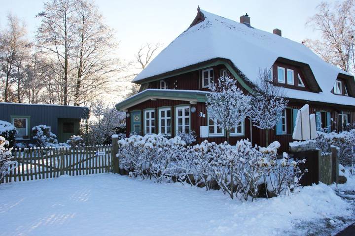 Ferienhaus für 5 Personen, mit Garten auf Fischland - Darß - Zingst - 2