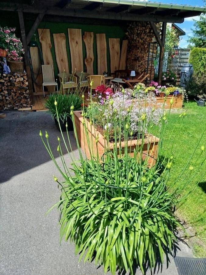 Ganze Wohnung, Ferienwohnung Greifenbach, Gartennutzung, Haustiere willkommen in Geyer, Erzgebirge