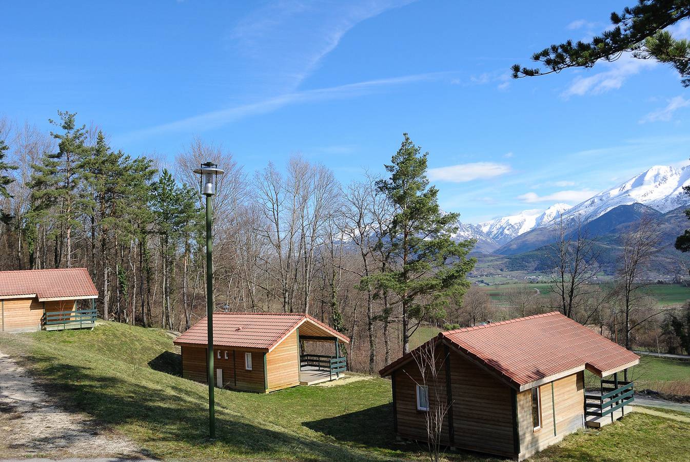 Rhododendron in Cordéac, Isère