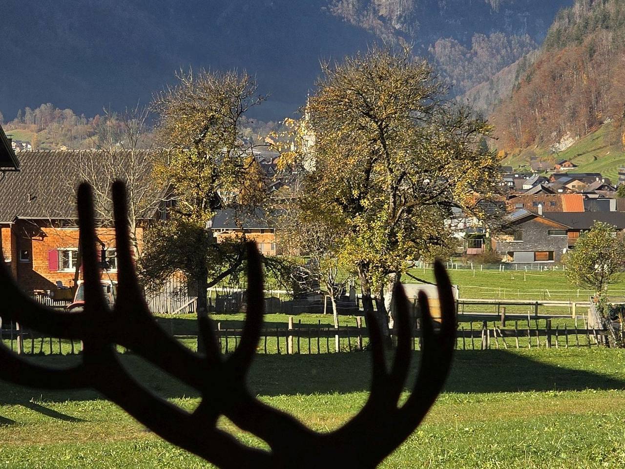 Ganze Ferienwohnung, Johler Appartements 549 - Top 1 in Bezau, Bregenzerwald