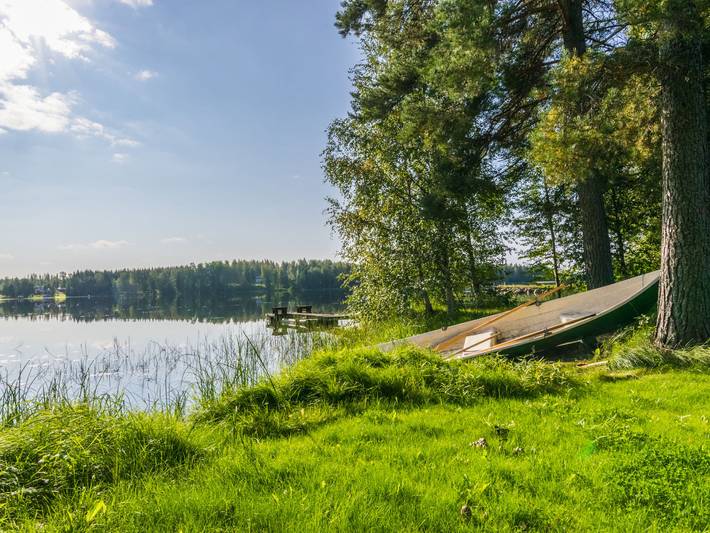 Saniainen 5 in Säviä, Nord-Savo
