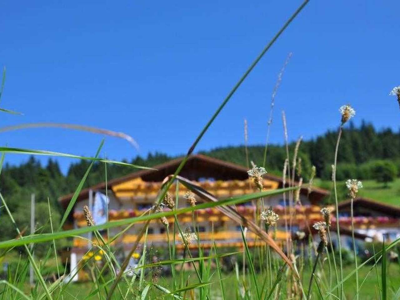 Ganze Ferienwohnung, Landhaus Wildschütz - Familiensuite Bergblick in Jungholz, Bayerische Alpen