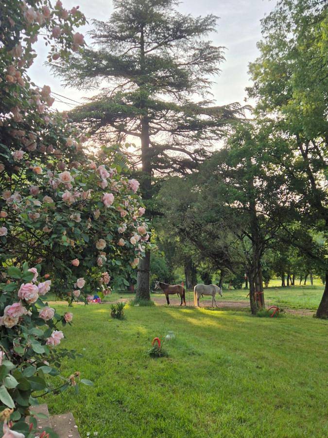 Gîte pour 2 personnes, avec vue et jardin à Saint-Benoît (Vienne) - 4