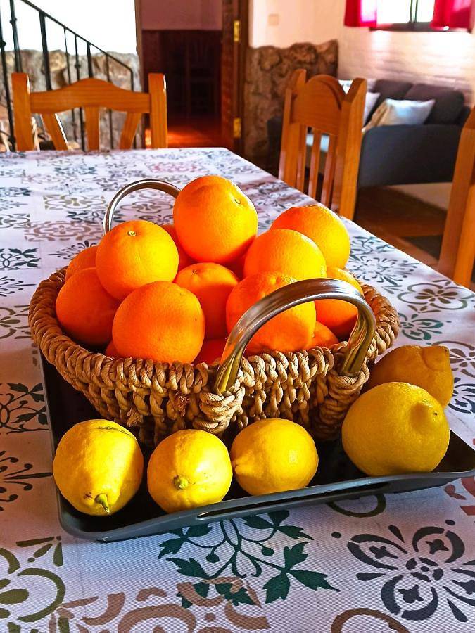 Casa rural para 11 personas, con vistas y jardín en Valle del Tiétar - 4