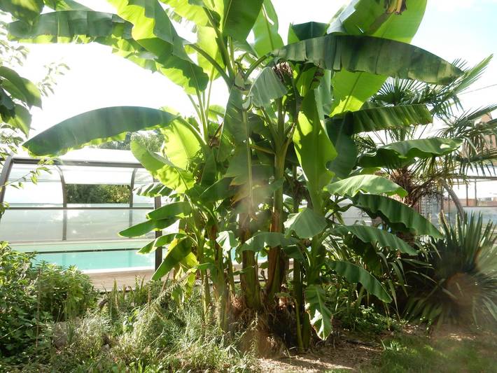 Gîte pour 3 personnes, avec jardin ainsi que piscine et terrasse dans la Creuse - 2